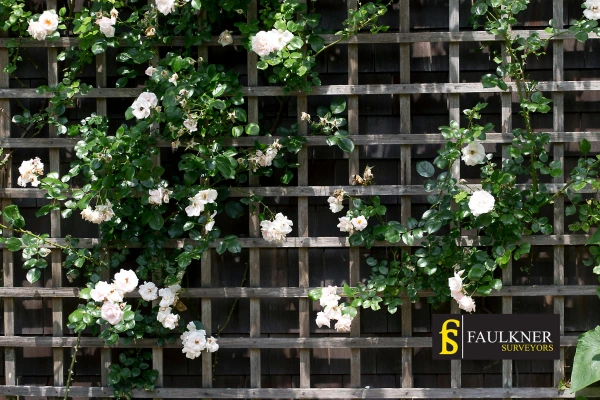 Can I put trellis on my Neighbours garage wall? 2 Do you want to adapt your neighbours garage door and add a trellis Andover? Talk to Faulkner Surveyor Andover
